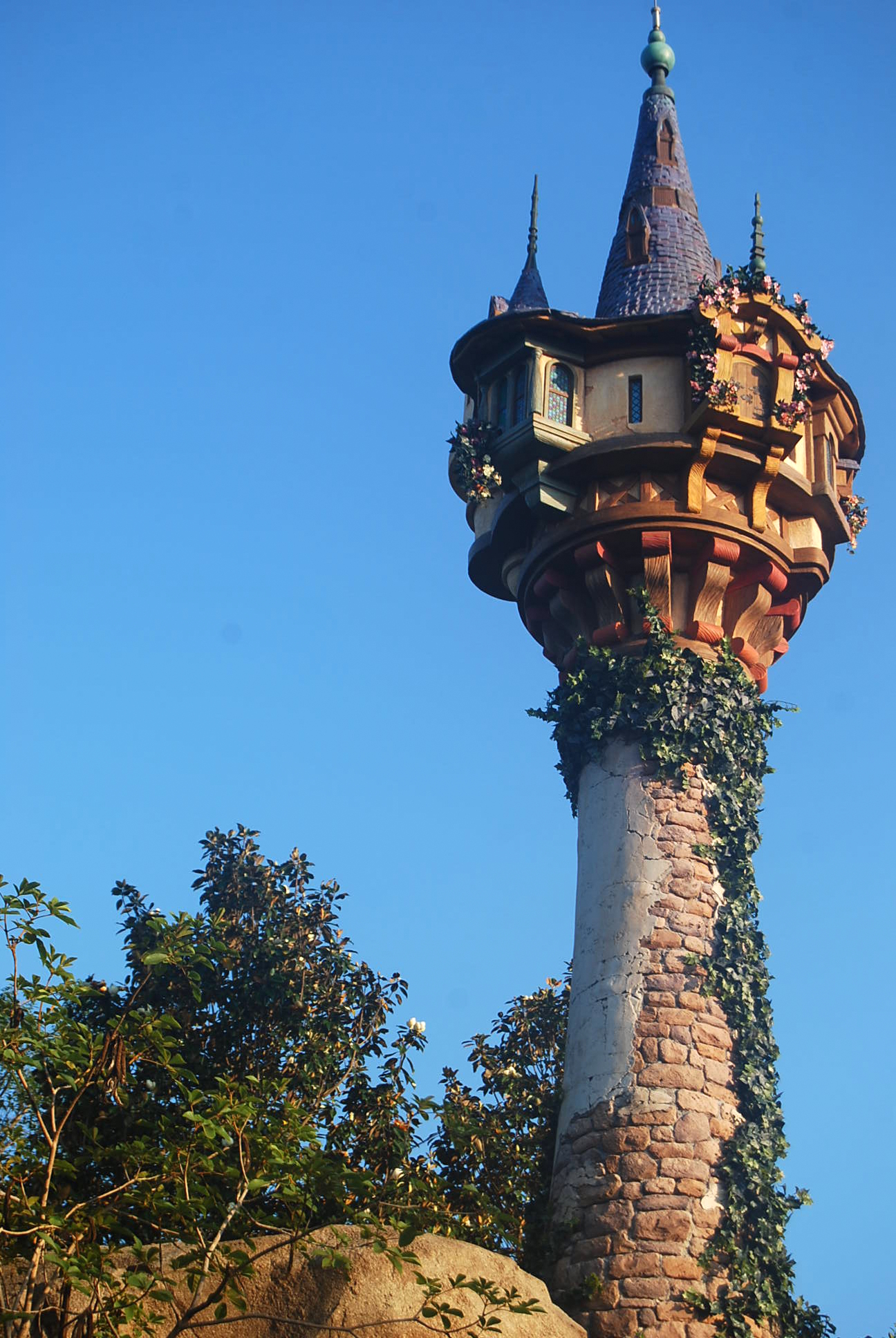 rapunzel castle tower